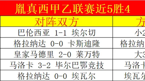 [德甲]勒沃库森主场庆功 半程领跑迈向冠军之路