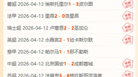 麦卡利斯特盛赞默契搭档维尔茨与埃基蒂克，主场激情战曼城，力争一胜！